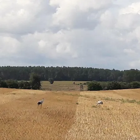 Appartamento Willkommen In Zachow Groß Nemerow